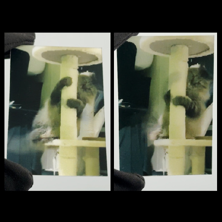 Video 5